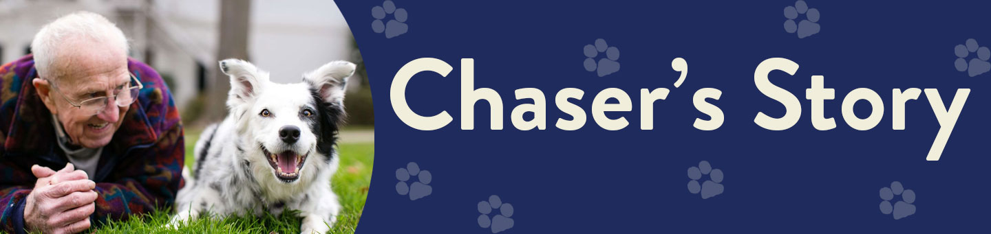 Chasers Story Banner