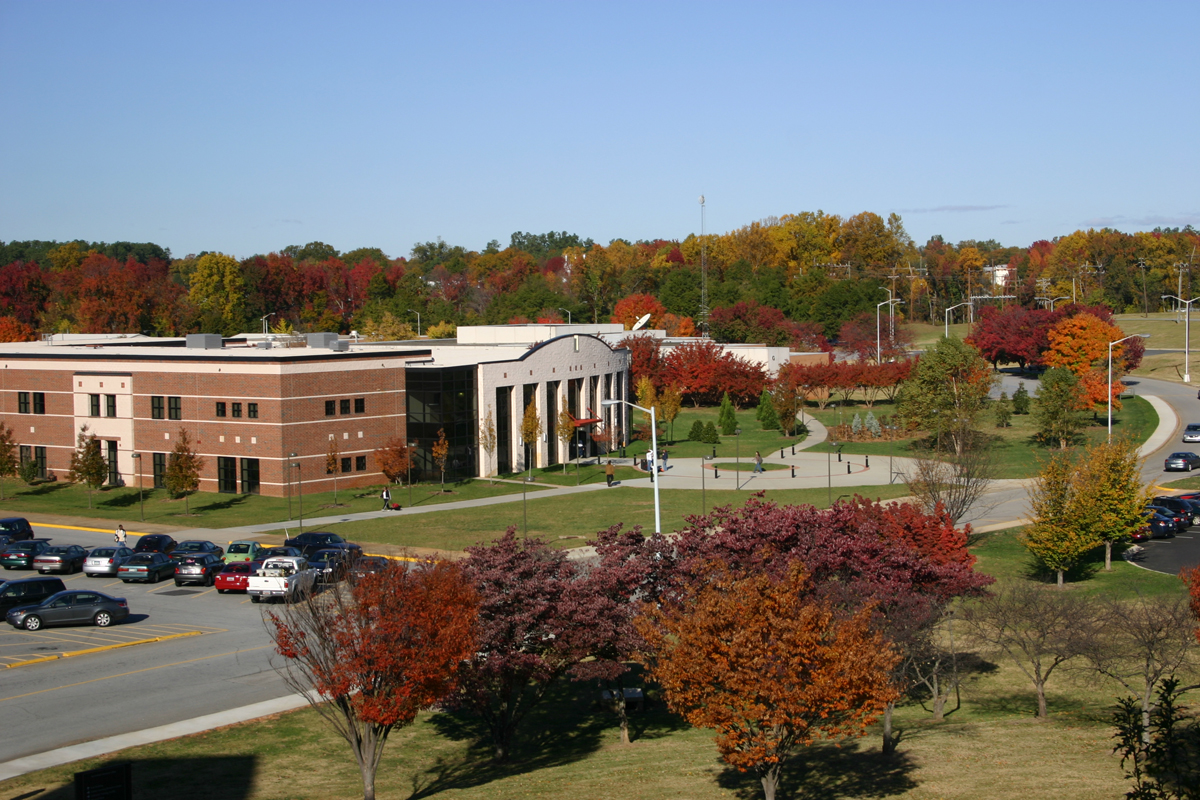 Library in fall