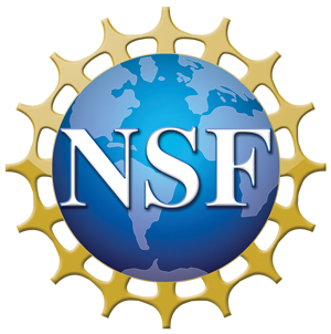 2021-NSF-grant