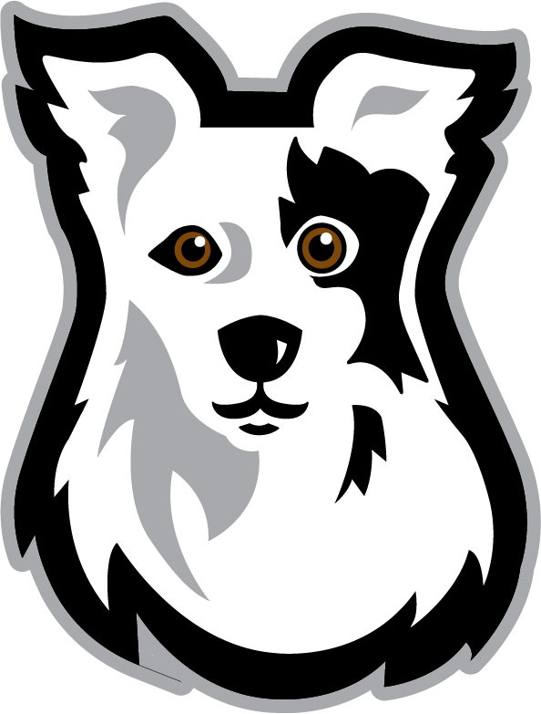 Image of SCC Chaser logo